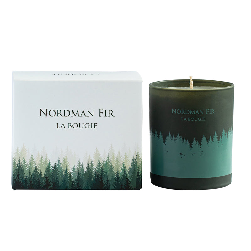 Nordman Fir Candle