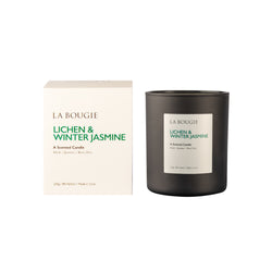 Lichen & Winter Jasmine Candle